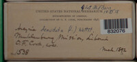 Arcyria denudata image